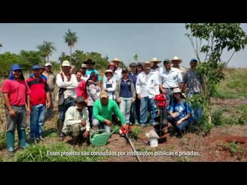 Programa Produtor de Água - Campo Grande (MS)