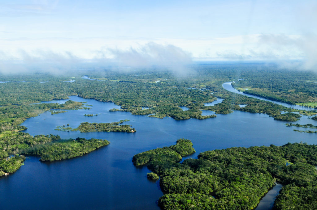 Vista aérea da Floresta Amazônica, próximo a Manaus (AM). Foto: Flickr (CC)/CIAT/Neil Palmer