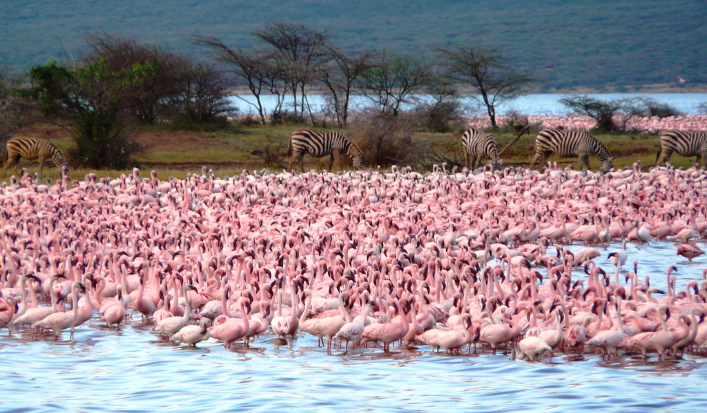 Foto: Geoffroy Mauvais/IUCN