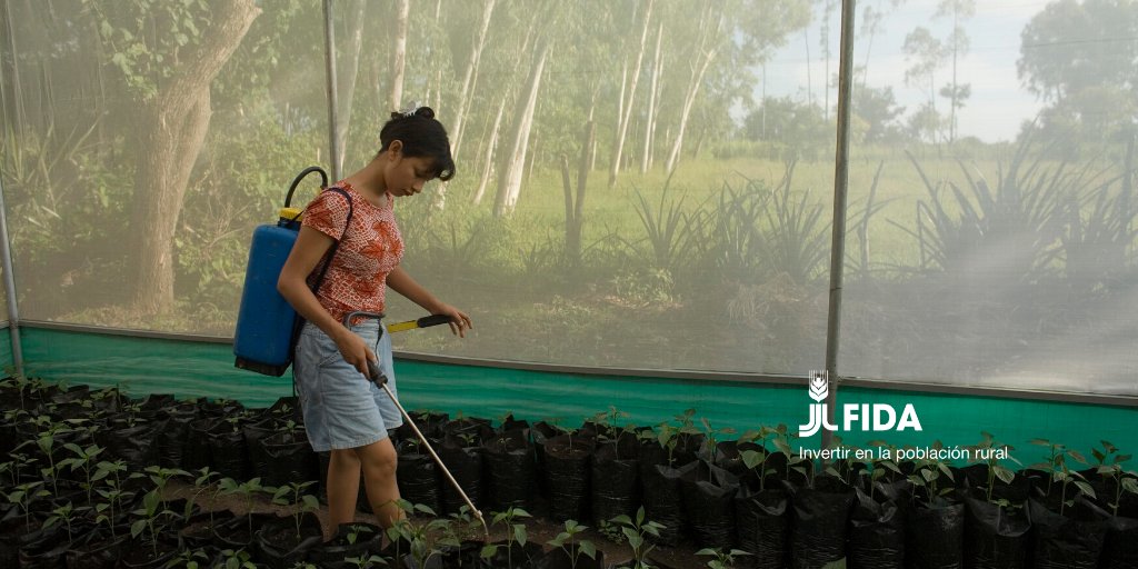 Prêmio do FIDA impulsiona projetos inovadores criados por jovens latino-americanos e caribenhos para o desenvolvimento rural. Foto: FIDA