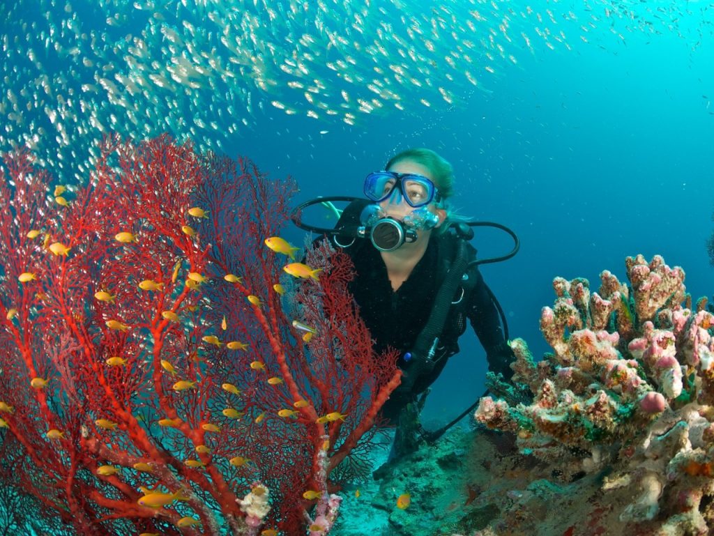 PNUD lança um novo chamado para a ação – Desafio de Inovação para os Oceanos. Foto: iStock.com/RainervonBrandis