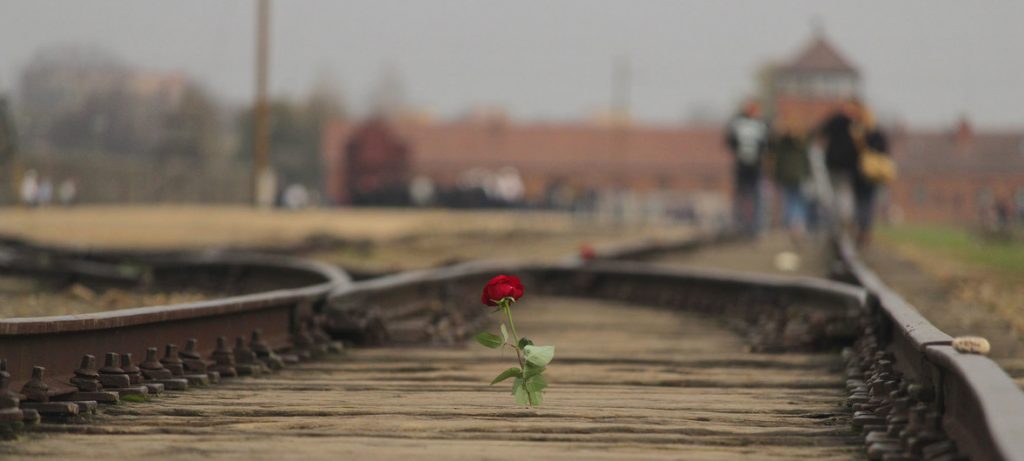 Uma rosa é colocada nos trilhos de trem no Memorial e Museu Auschwitz-Birkenau, na Polônia. Foto: Unsplash/Albert Laurence