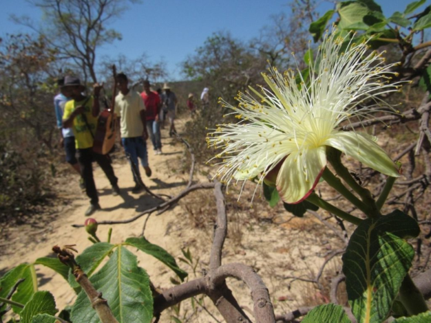 O Bem Diverso é uma parceria entre a Embrapa e o PNUD.  Foto: Bem Diverso