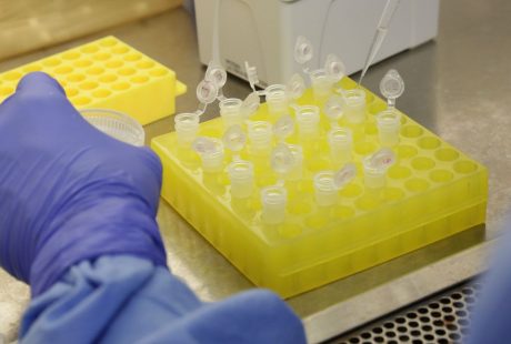 Diagnóstico laboratorial de casos suspeitos do novo coronavírus (2019-nCoV), realizado pelo Laboratório de Vírus Respiratório e do Sarampo do Instituto Oswaldo Cruz (IOC/Fiocruz), que atua como Centro de Referência Nacional em Vírus Respiratórios para o Ministério da Saúde. Foto: IOC/Fiocruz/Josué Damacena