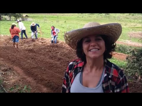 Sistema Agroflorestal – SAF #04. Saúde do corpo e da terra