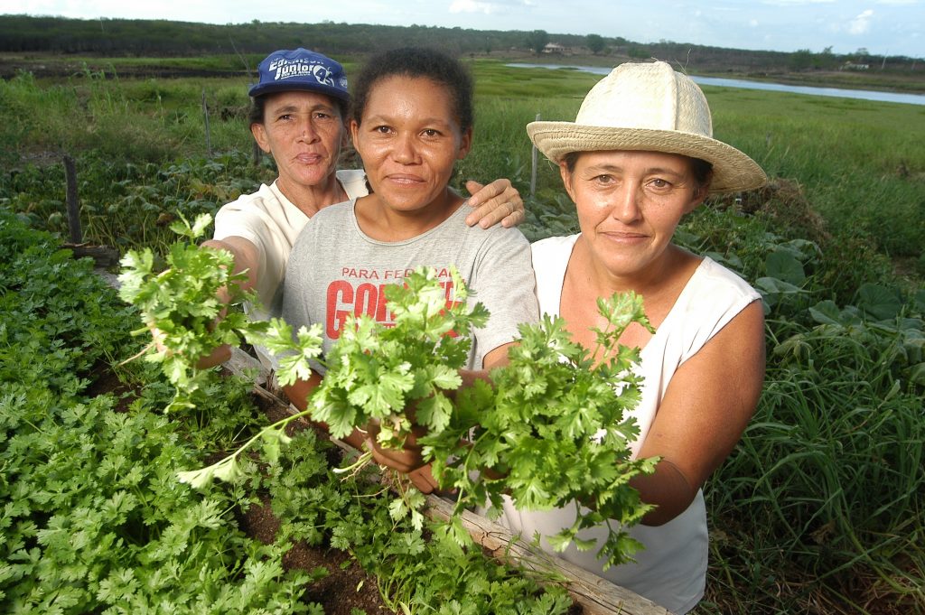 Mulheres que trabalham no plantio de hortaliças orgânicas no Assentamento Vista Alegre em Quixeramobim, no Ceará. Foto: FAO