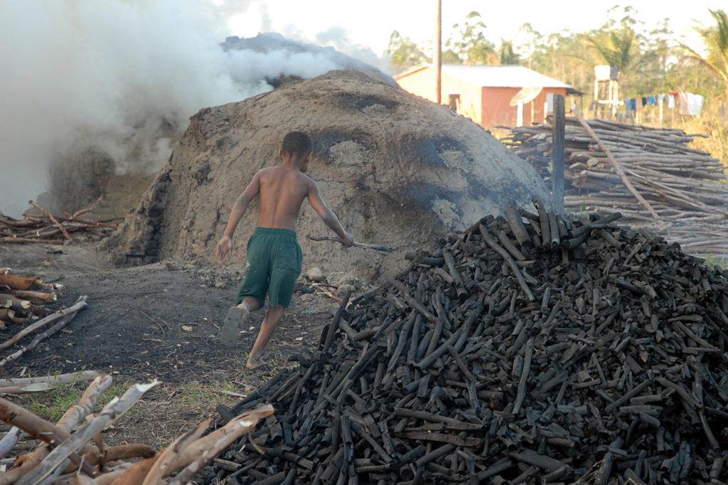 O trabalho infantil na América Latina e no Caribe caiu pela metade desde 2000, mas avanços estão sob risco por conta da pandemia. Foto: EBC