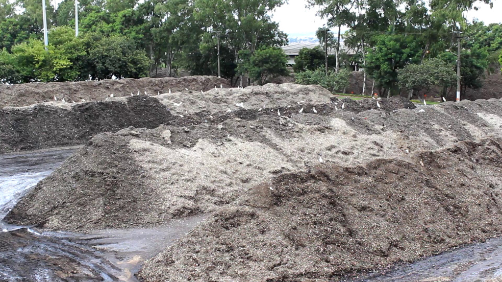 UNIDO participou de painel temático com especialistas em resíduos sólidos, compostagem e biometanização. Foto: UNIDO