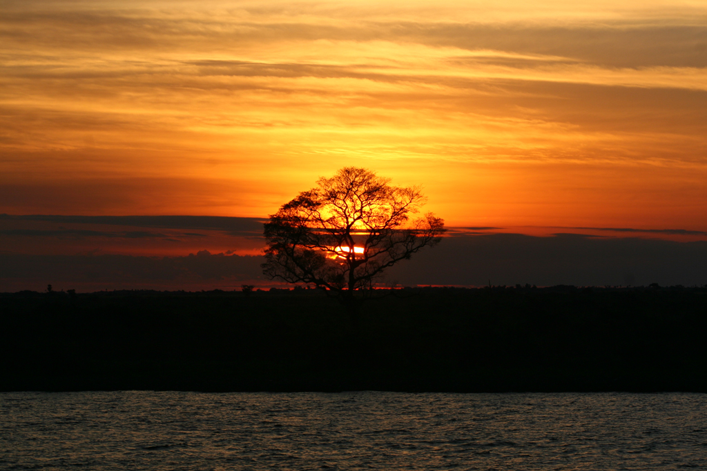 O pantanal é uma das seis Reservas da Biosfera localizadas no Brasil. Foto: Flickr/Denis Gustavo