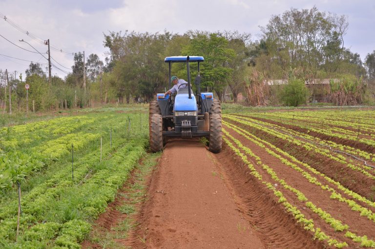 Agropecuária - plantações - agricultura agricultores produção agrícola pequenas propriedades rurais tratores 