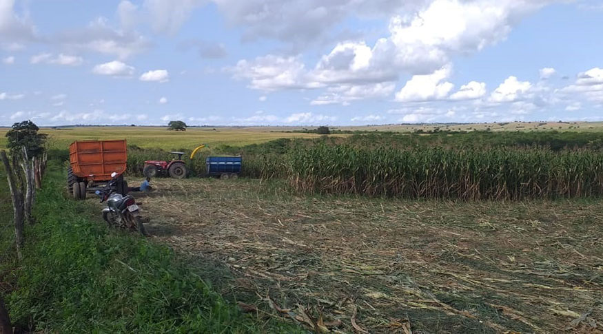 #PraCegoVer Visão panorâmica de plantação de milho.A esquerda parte de uma cerca. Ao centro parte o terreno limpo já sem plantação  Encostada nela um moto. Ao fundo um trator e a direita a plantação de milharal