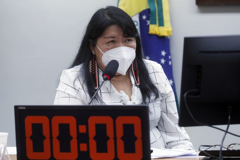 Audiência Pública -Debate para expor a situação socioambiental nas Terras Indígenas. Dep. Joenia Wapichana(REDE - RR)