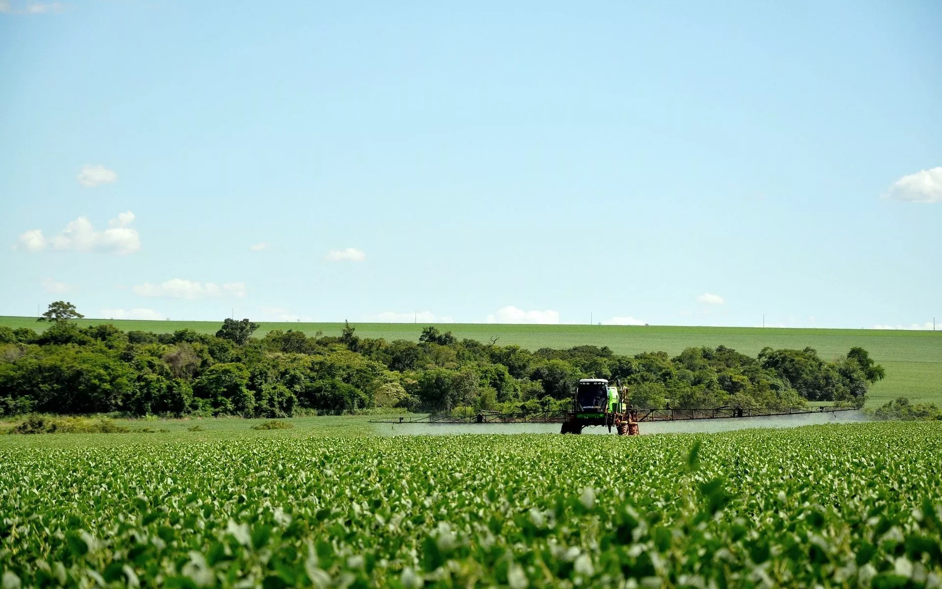 Agrotóxicos podem afetar sistema imunológico e aumentar riscos da Covid-19, diz relatório