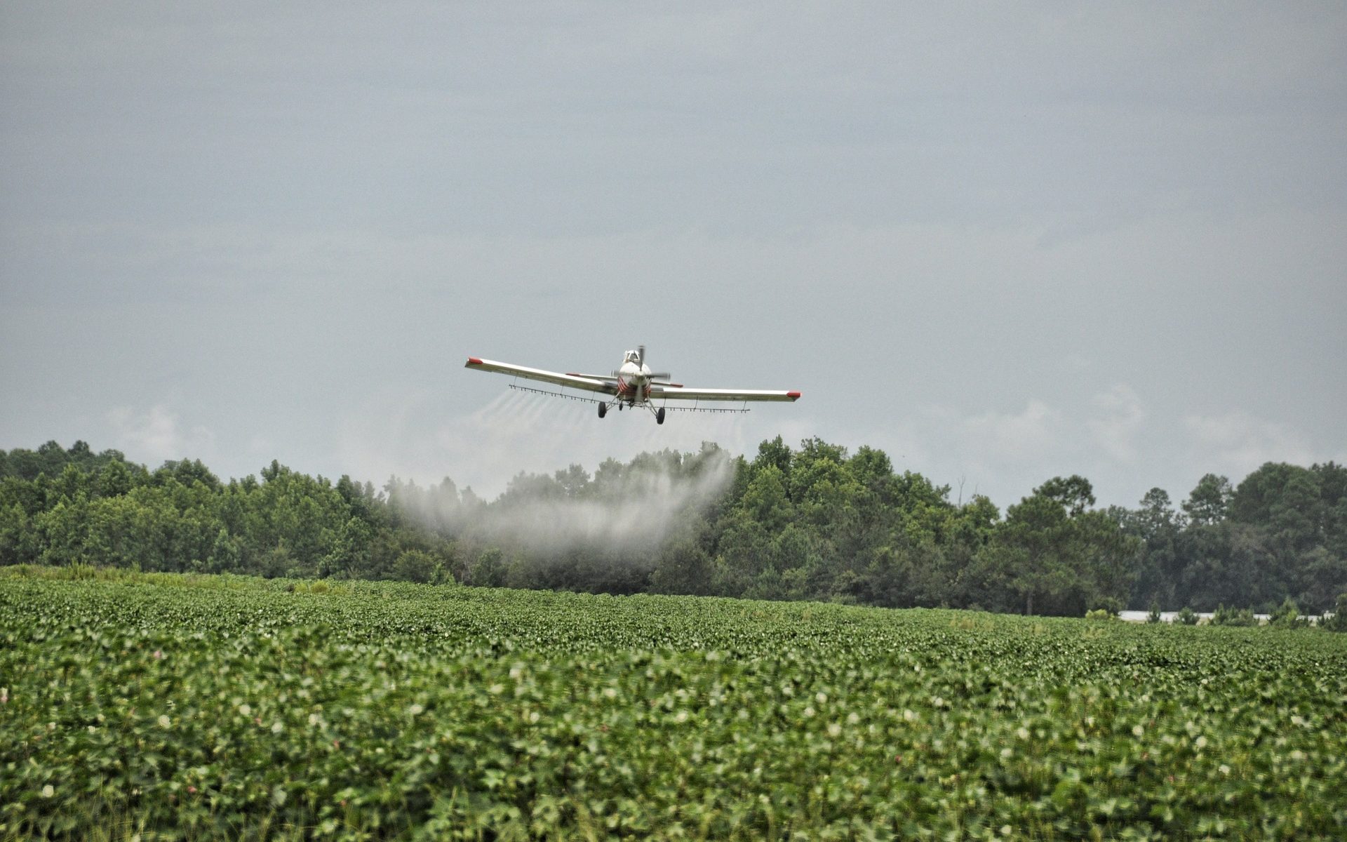 Como o agronegócio atua para garantir a pulverização de agrotóxicos pelo ar_img7