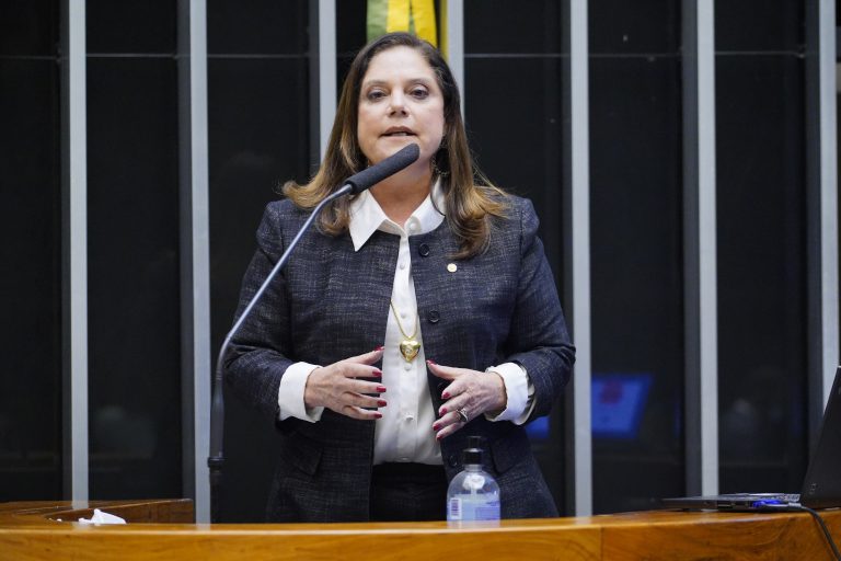 Comissão Geral para tratar da Reforma Eleitoral. Dep. Soraya SantosPL - RJ