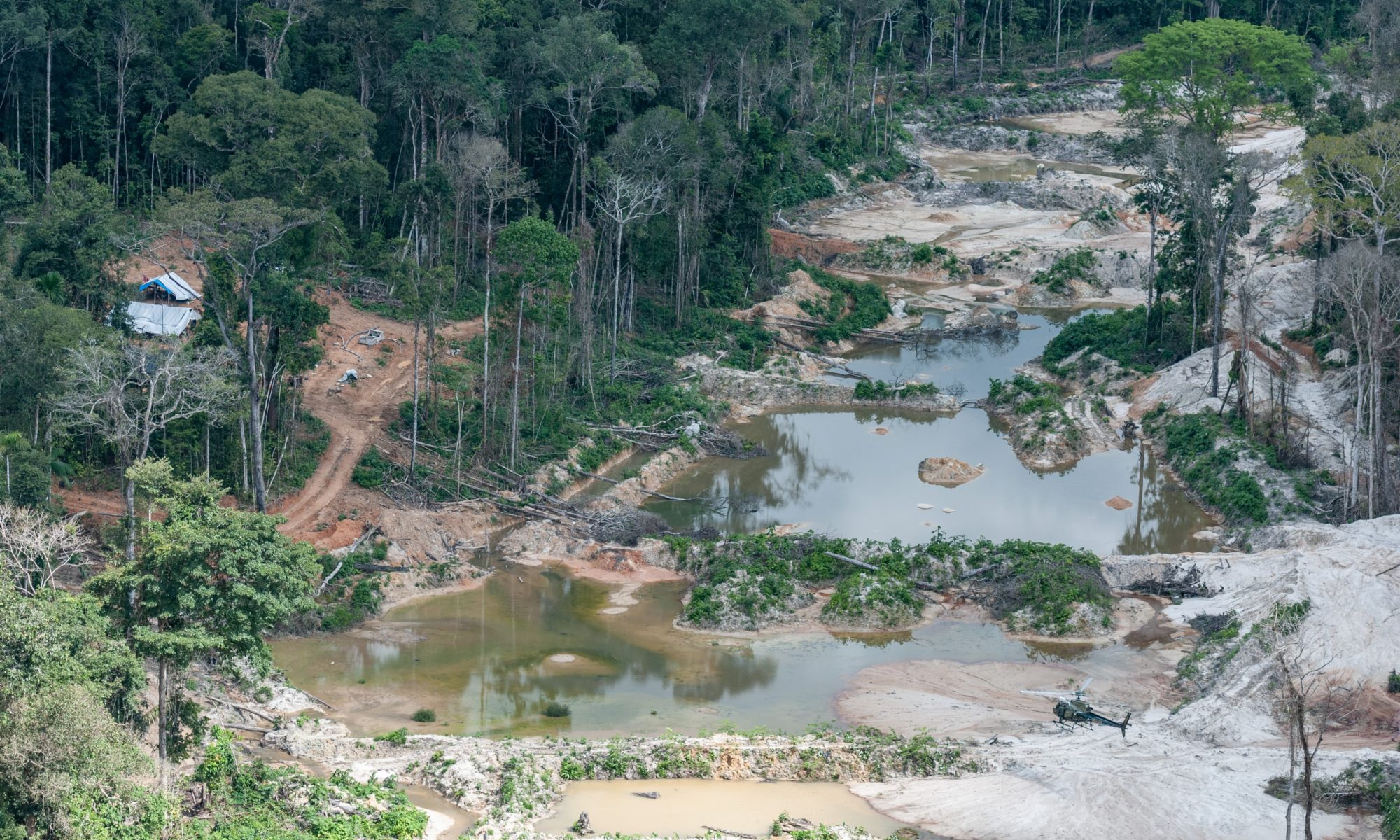 Terra_Indígena_Munduruku,_Pará_