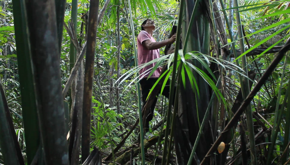 Cacique Railson, homem indígena, posa de pé em meio à floresta olhando para o céu