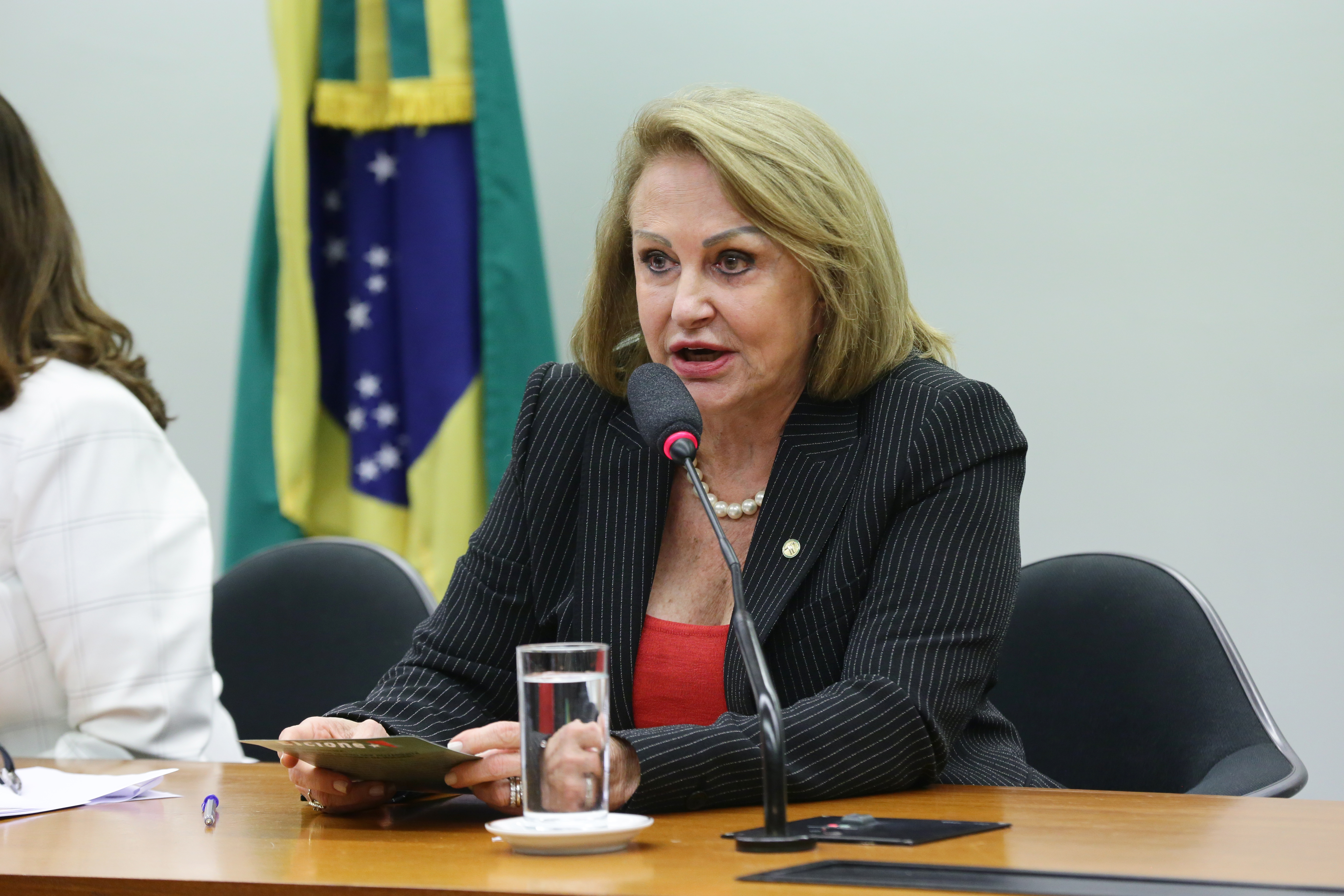 Deputada Elcione Barbalho está sentada falando ao microfone. Ela é loira e usa um blazer preto