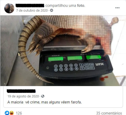 Postagem de Facebook com a foto de um tatu morto sob uma balança com a legenda "A maioria vê crime, mas alguns vêem farofa"