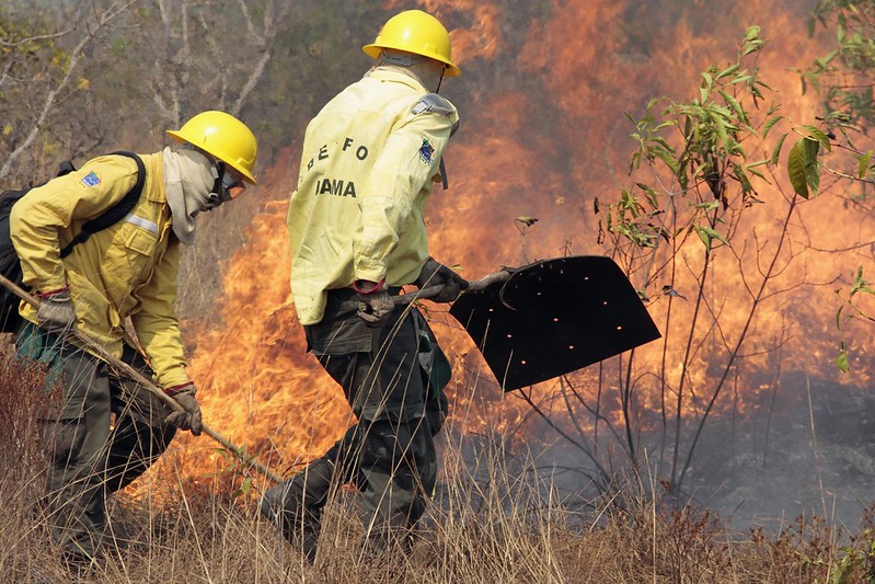 Brigadistas do Ibama vestem uniforme amarelo e equipamento de proteção individual; juntos, dois homens combatem um foco de incêndio