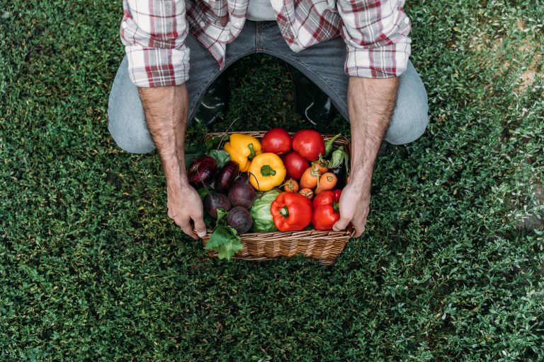 Um homem segura uma cesta de frutas e legumes que está em cima da grama