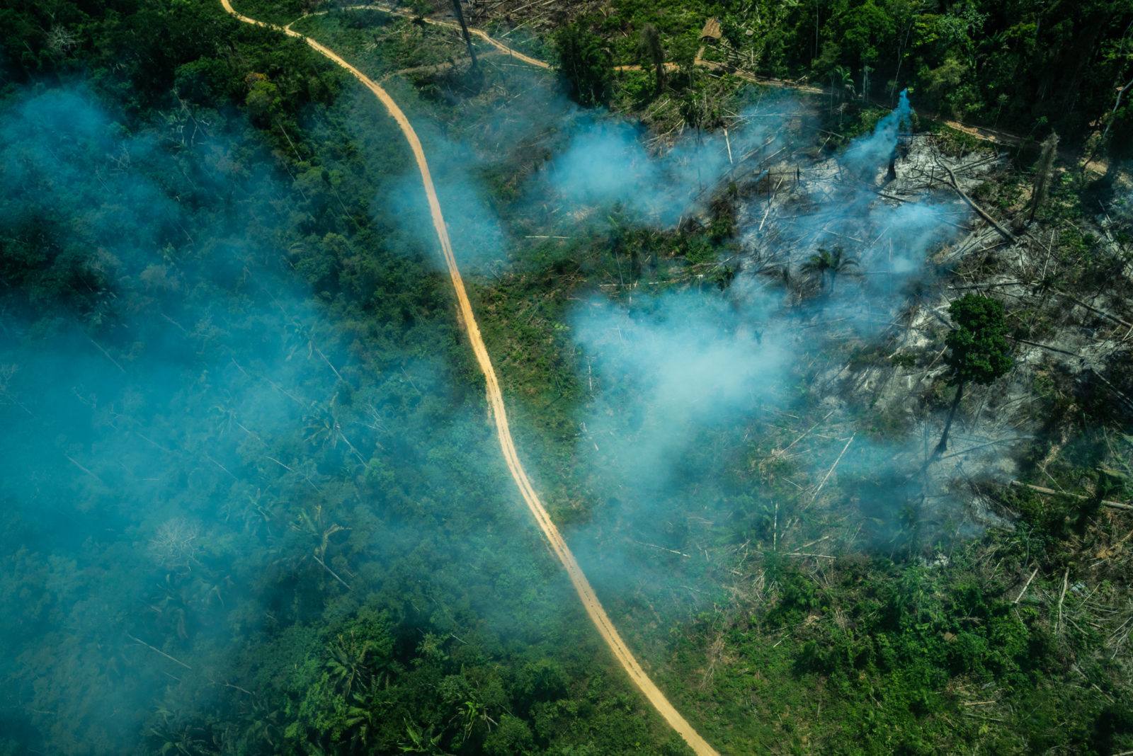 Imagem aérea de área desmatada ilegalmente na Amazônia