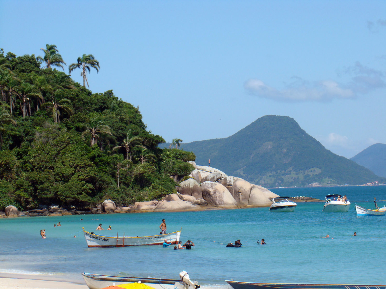 Leilão da ANP vai prejudicar vida marinha no litoral de Santa Catarina; a área tem uma grande biodiversidade