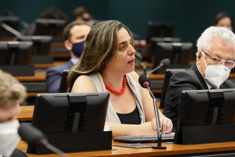 Votação do Parecer do Relator. Dep. Fernanda MelchionnaPSOL - RS