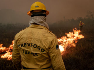 Agente do Prevfogo encara queimada em mata aberta. Ele usa vestimenta amarela com equipamento de proteção.