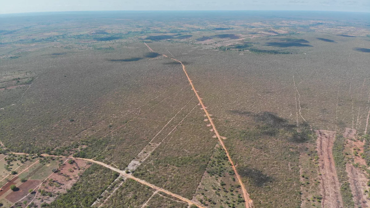 Imagem aérea do oeste baiano, mostrando uma enorme área verde com estradas