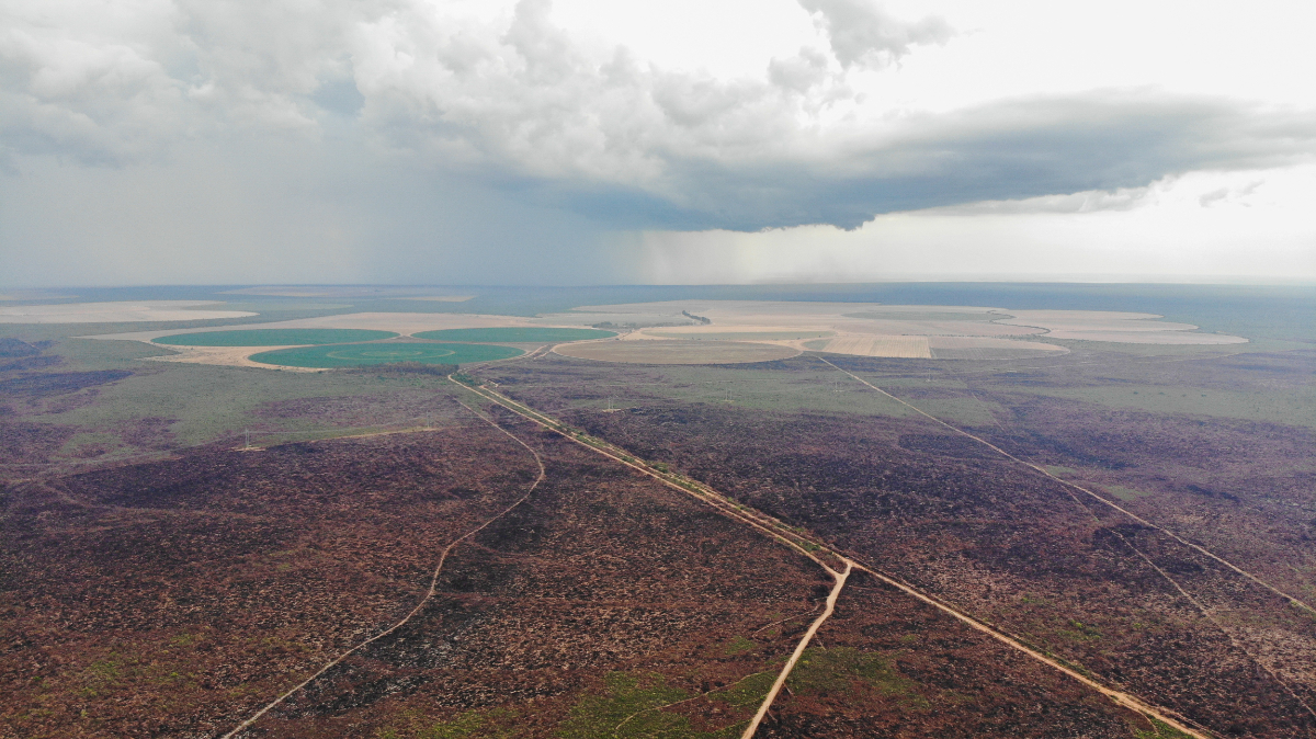 Imagem aérea do cerrado baiano, com uma vasta área verde desmatada