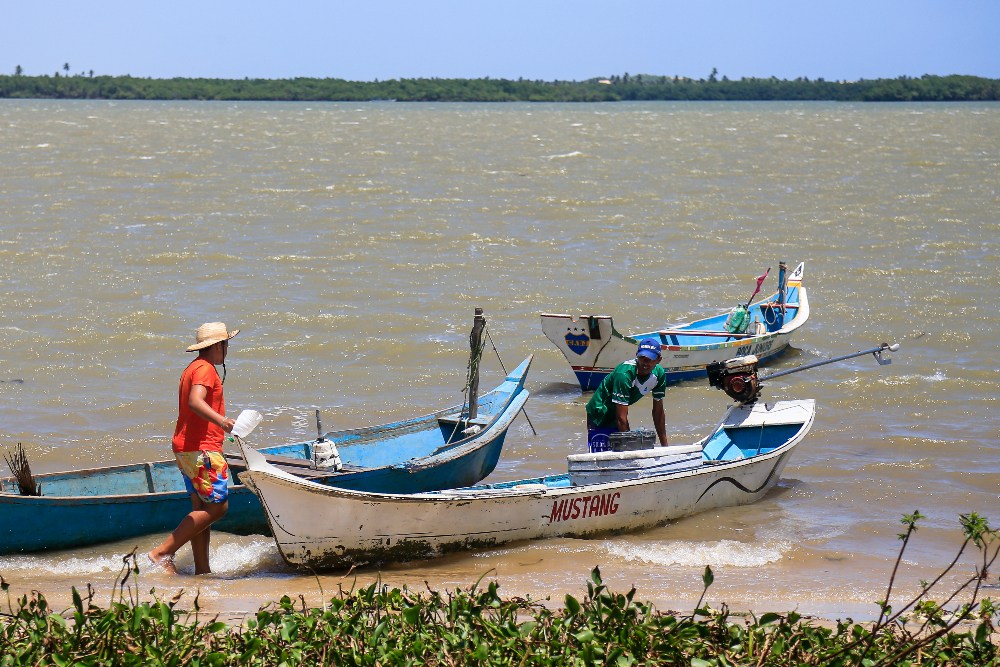 Estudos mostram que o município de Brejo Grande, em Sergipe, seria um dos primeiros atingidos no caso de vazamento de petróleo na região do estuário do São Francisco