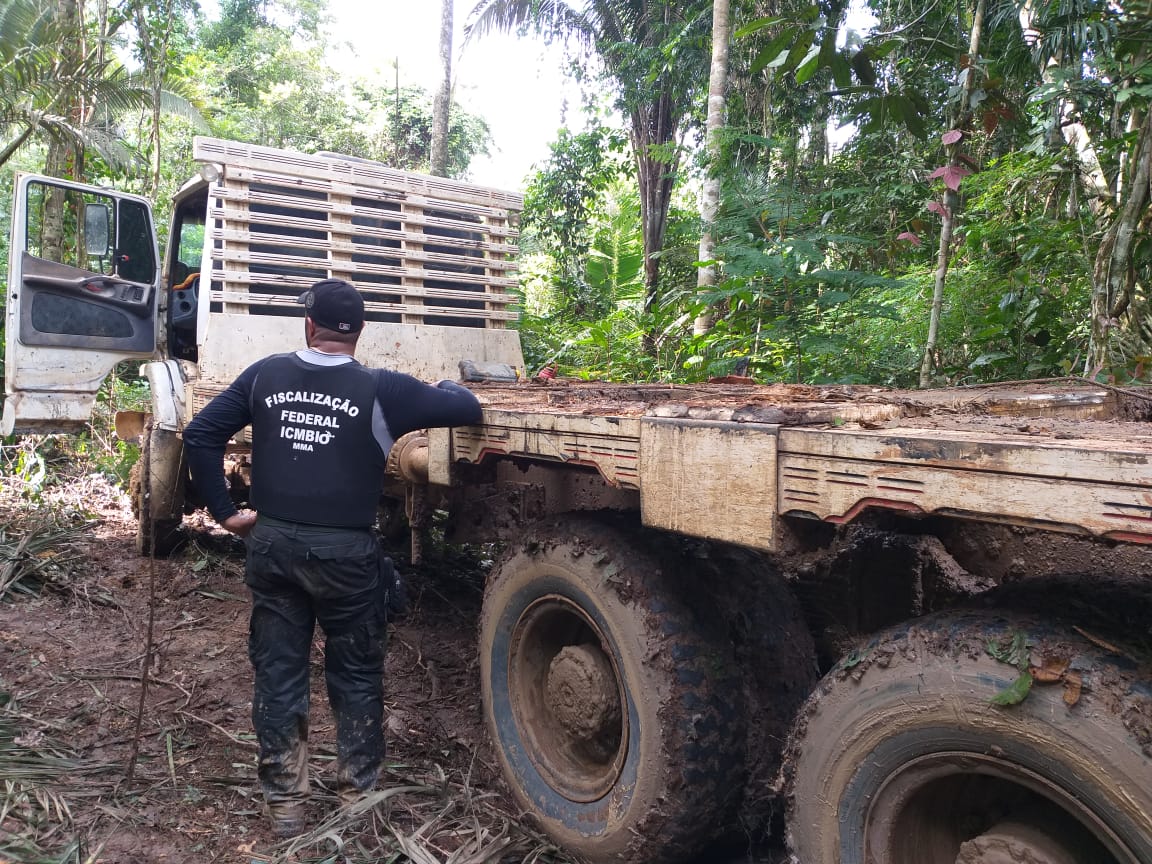 Ação_As empresas mais multadas nas unidades de conservação da Amazônia