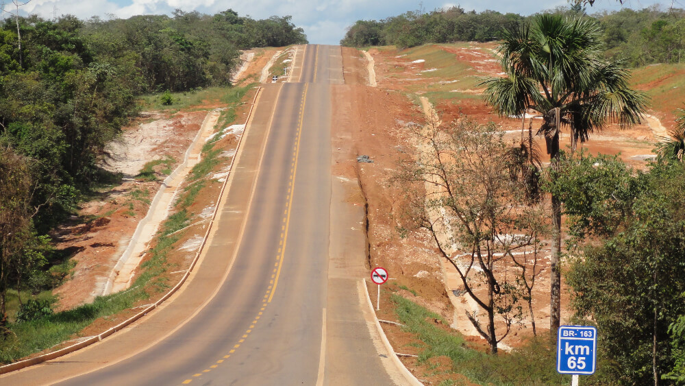 Foto mostra extensão da BR-163, margeada por pequenas árvores