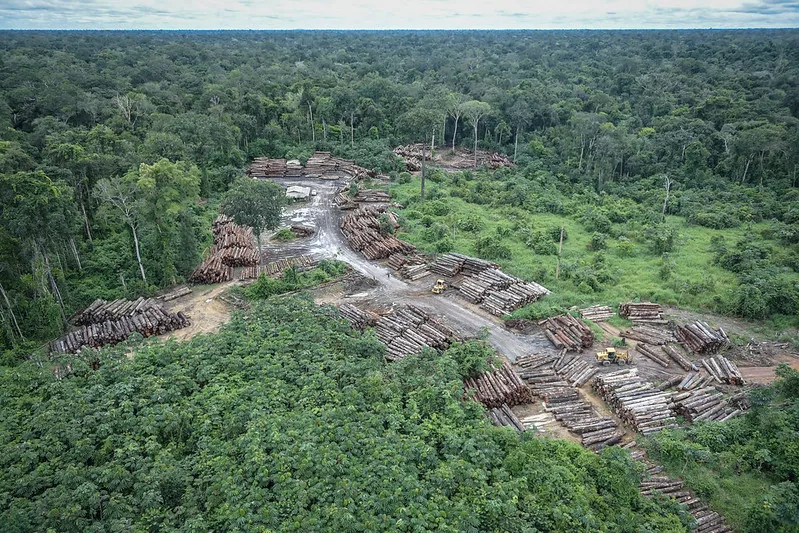 Imagem aérea de área desmatada na Amazônia, mostra "buraco" no meio da floresta com toras de madeira no chão