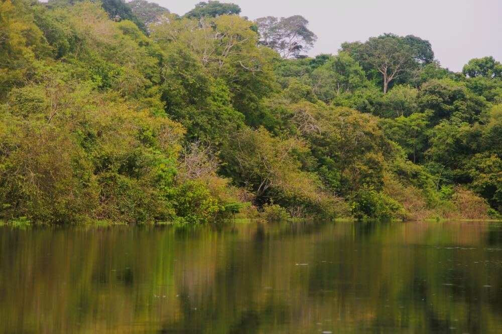 Trecho do Lago Cuniã, margeado por vegetação nativa