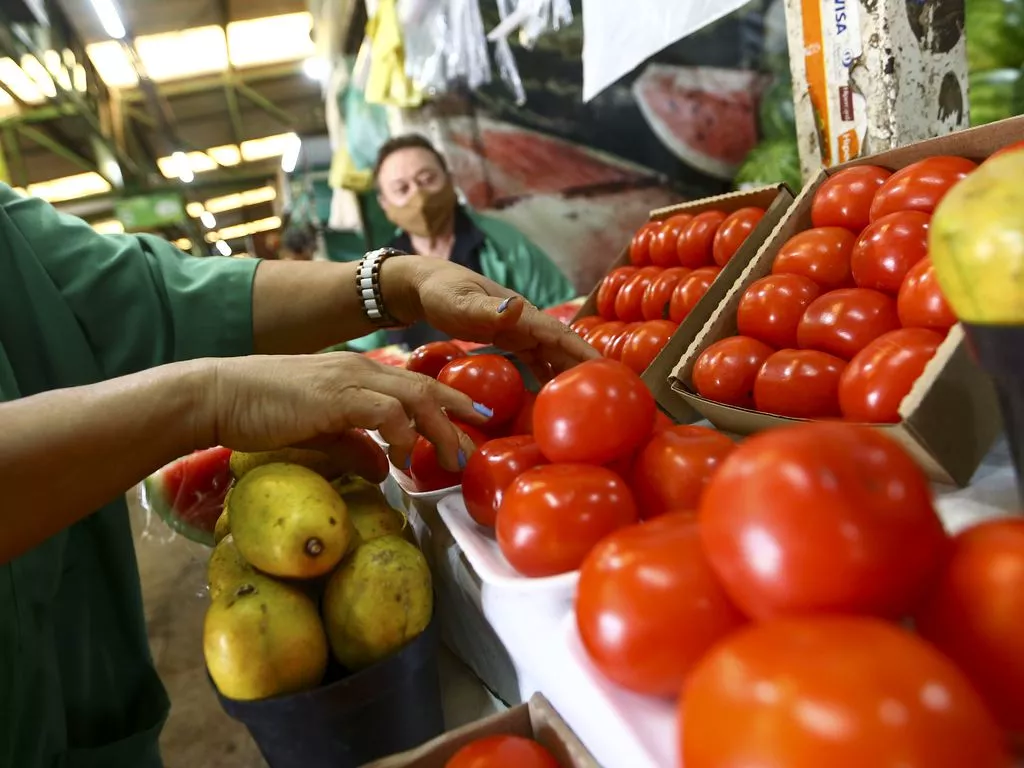 Vendedores na Feira da Ceilândia manuseiam tomates