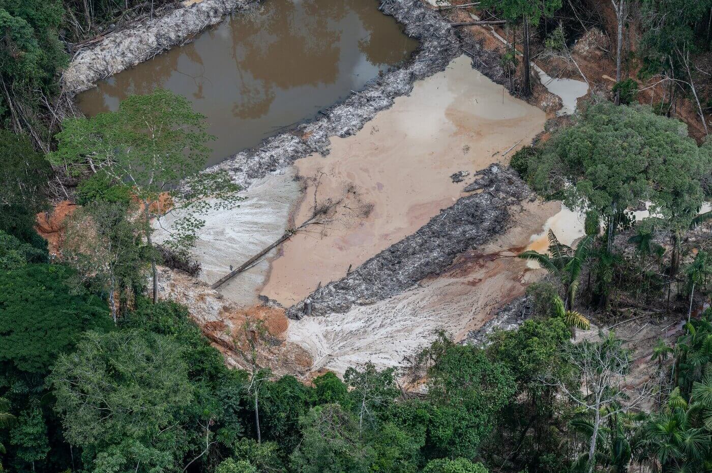 Garimpo ilegal na Terra Indígena Munduruku_Luísa Molina caso de jovem Yanomami revela como garimpo destrói vidas e terras indígenas