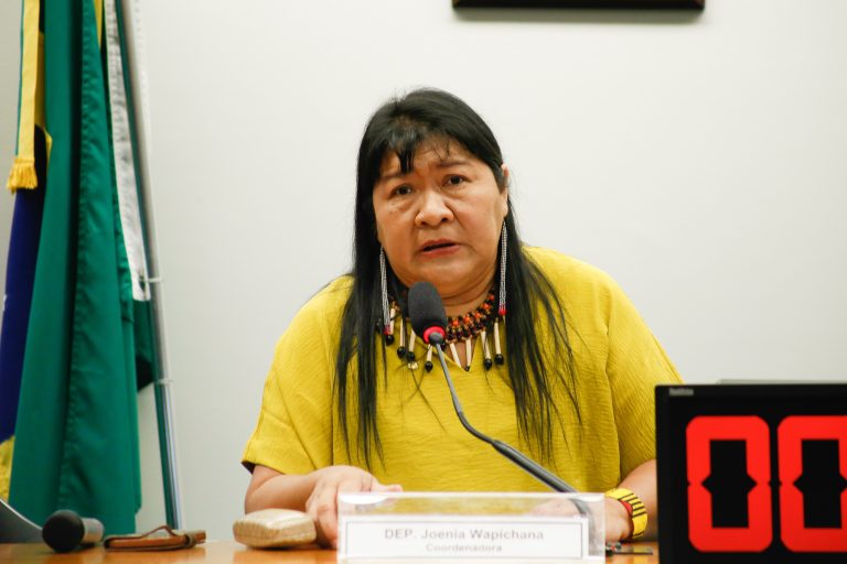 Audiência Pública - Debate sobre os resultados da diligência à Terra Indígena Yanomami. Dep. Joenia Wapichana REDE-RR