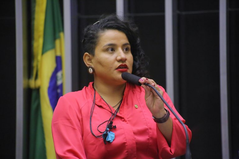 Discussão e votação de propostas. Dep. Vivi Reis PSOL - PA