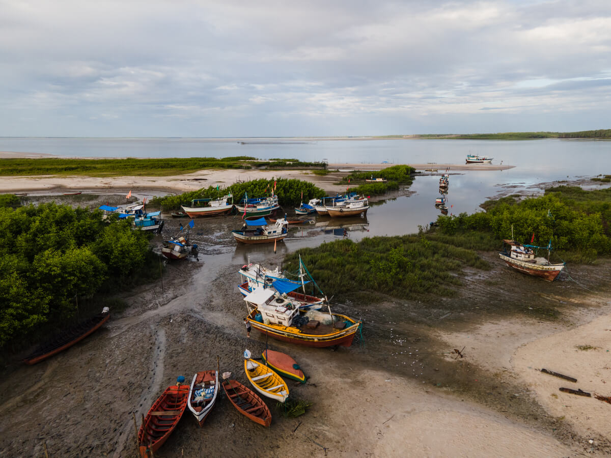 Barcos estão reunidos próximo a área litorânea