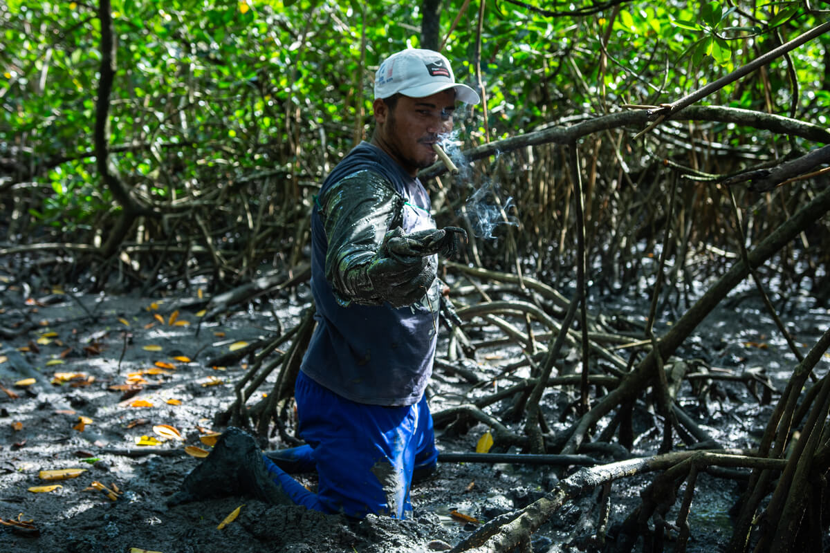 Pescador ajoelhado no mangue