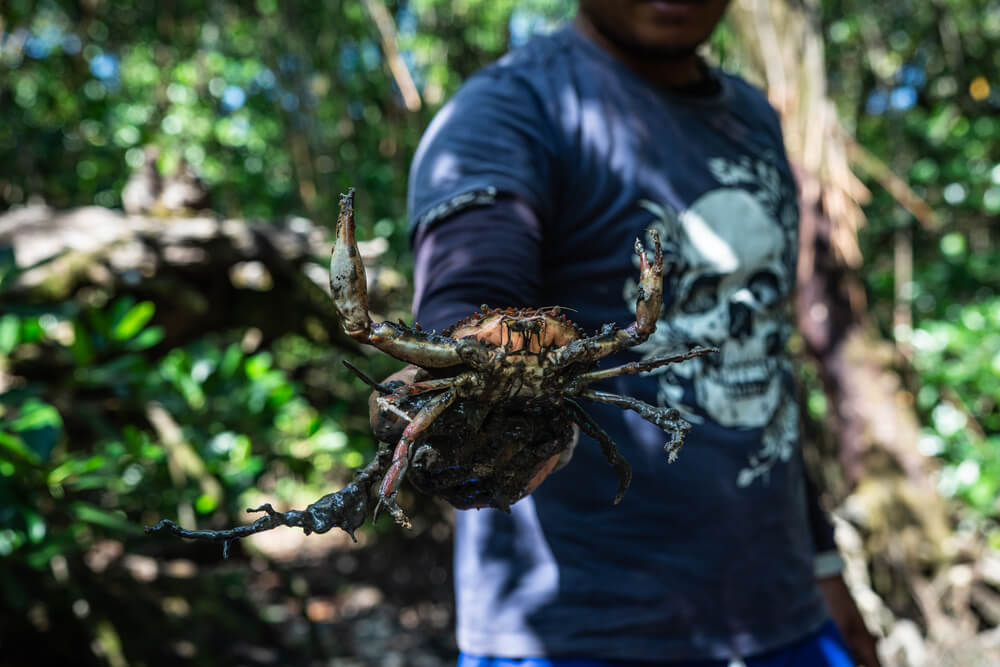 A pesca é uma atividade central na região Amazônica, impactando moradores e o meio ambiente