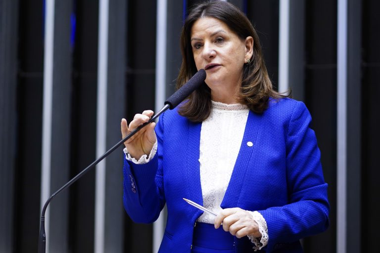 Deputada Carmen Zanotto discursa no Plenário da Câmara. 