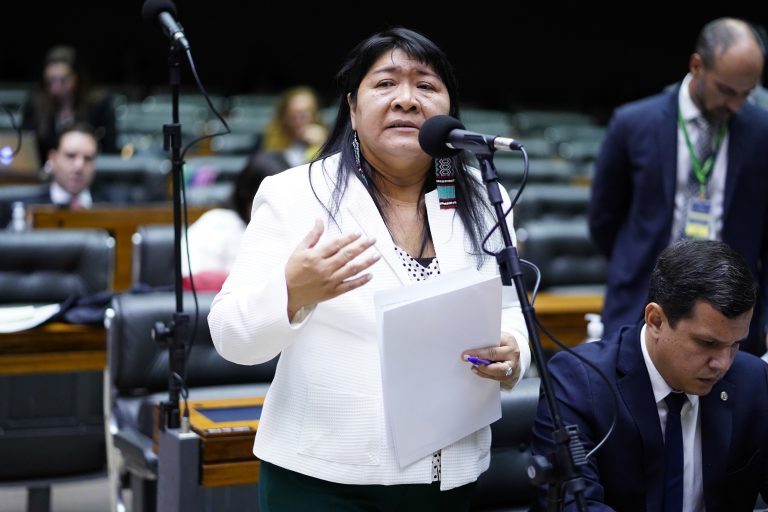 Discussão e votação de propostas. Dep. Joenia Wapichana REDE - RR