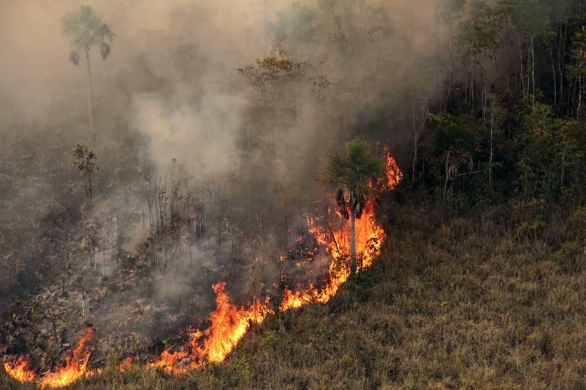 Capa_Já atingimos ponto de não retorno em algumas regiões da Amazônia, diz pesquisadora