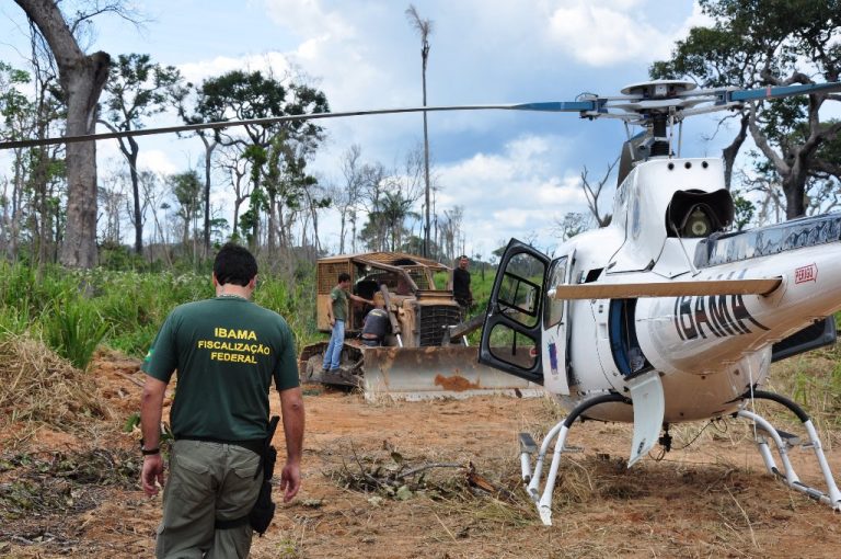 Meio Ambiente - Geral - ibama fiscal fiscalização carreira ambiental