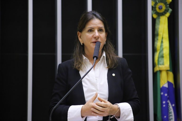 Deputada Carmen Zanotto discursa no Plenário da Câmara. 