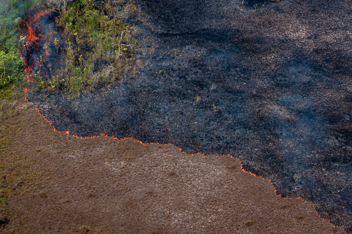 Capa_Novo governo Bolsonaro significa certeza de que perderemos a Amazônia, diz pesquisadora