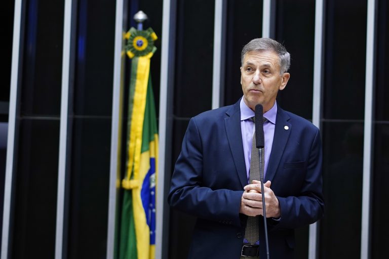 Deputado Luizão Goulart discursa no Plenário da Câmara. Ele é branco, grisalho, usa um terno azul-marinho. Ao fundo há uma bandeira do Brasil do lado esquerdo